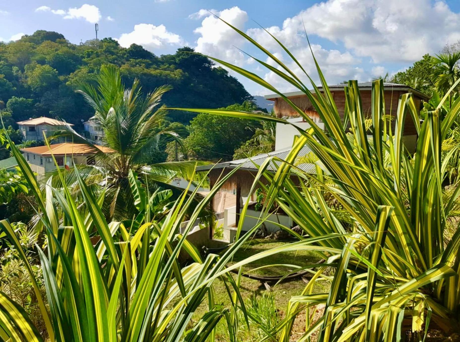 Cocotier, Elegant T3 Avec Jardin Tropical Apartment Sainte-Anne Exterior photo